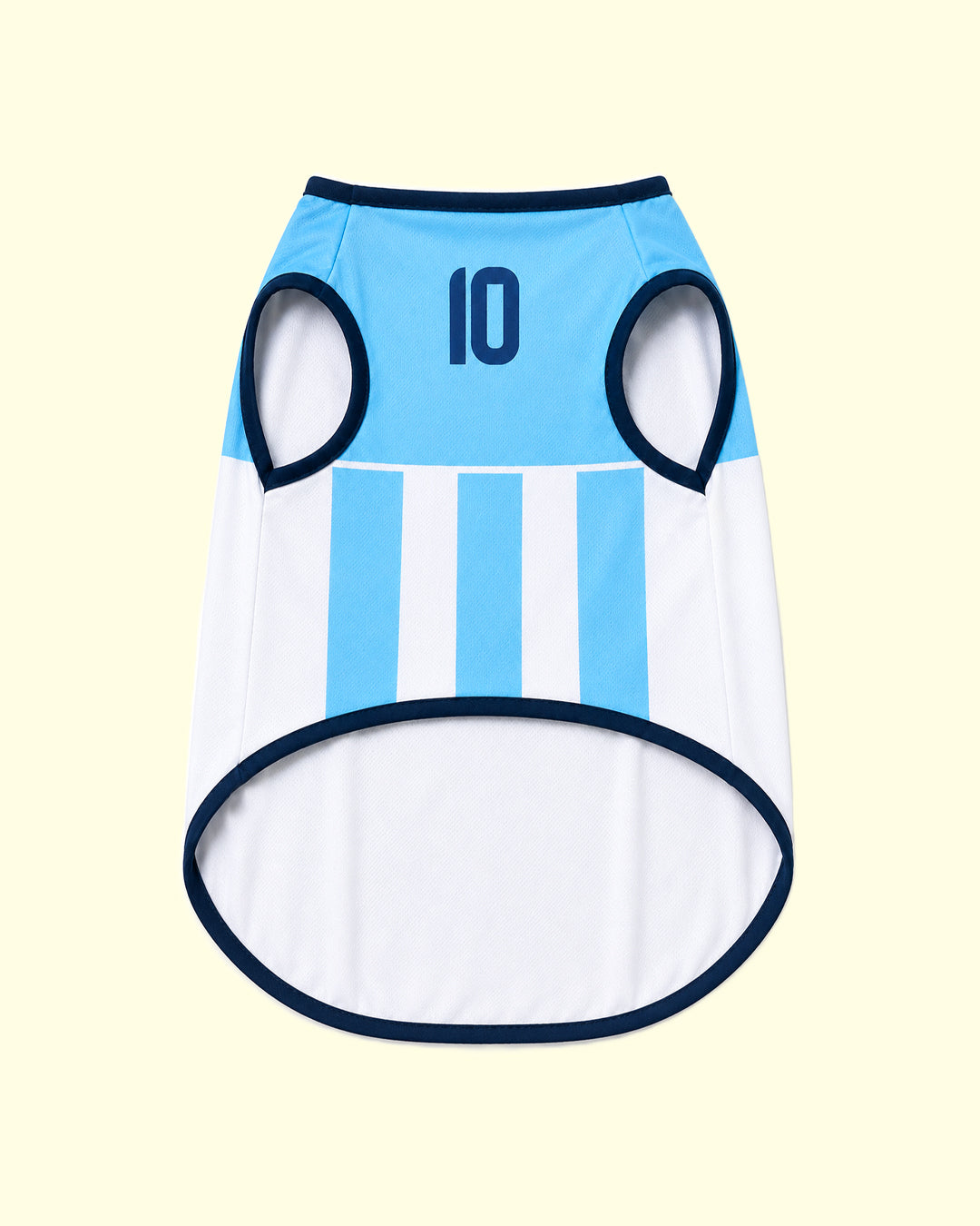 Maillot de foot - ARGENTINE