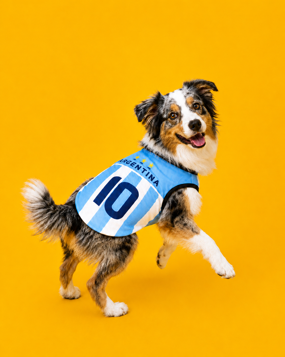 Maillot de foot - ARGENTINE